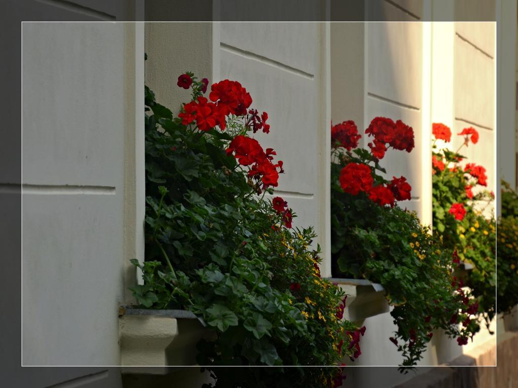 Penzion pri Kastieli Betliar Exterior foto